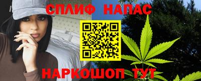 гашик Малгобек