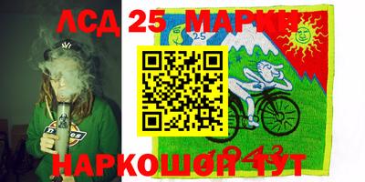 гашик Малгобек
