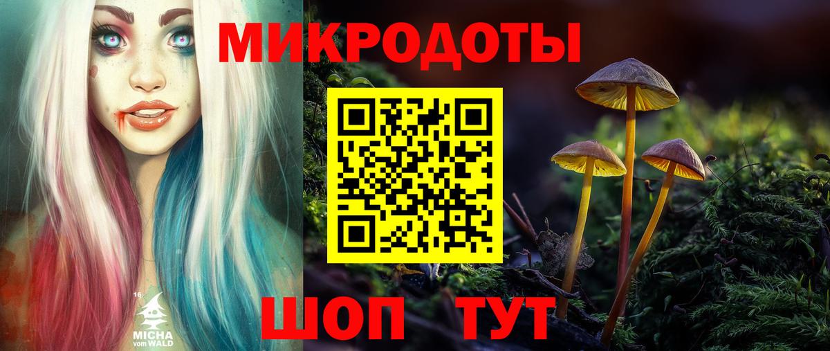 Галлюциногенные грибы Cubensis  Вход с VPN  Гулькевичи 